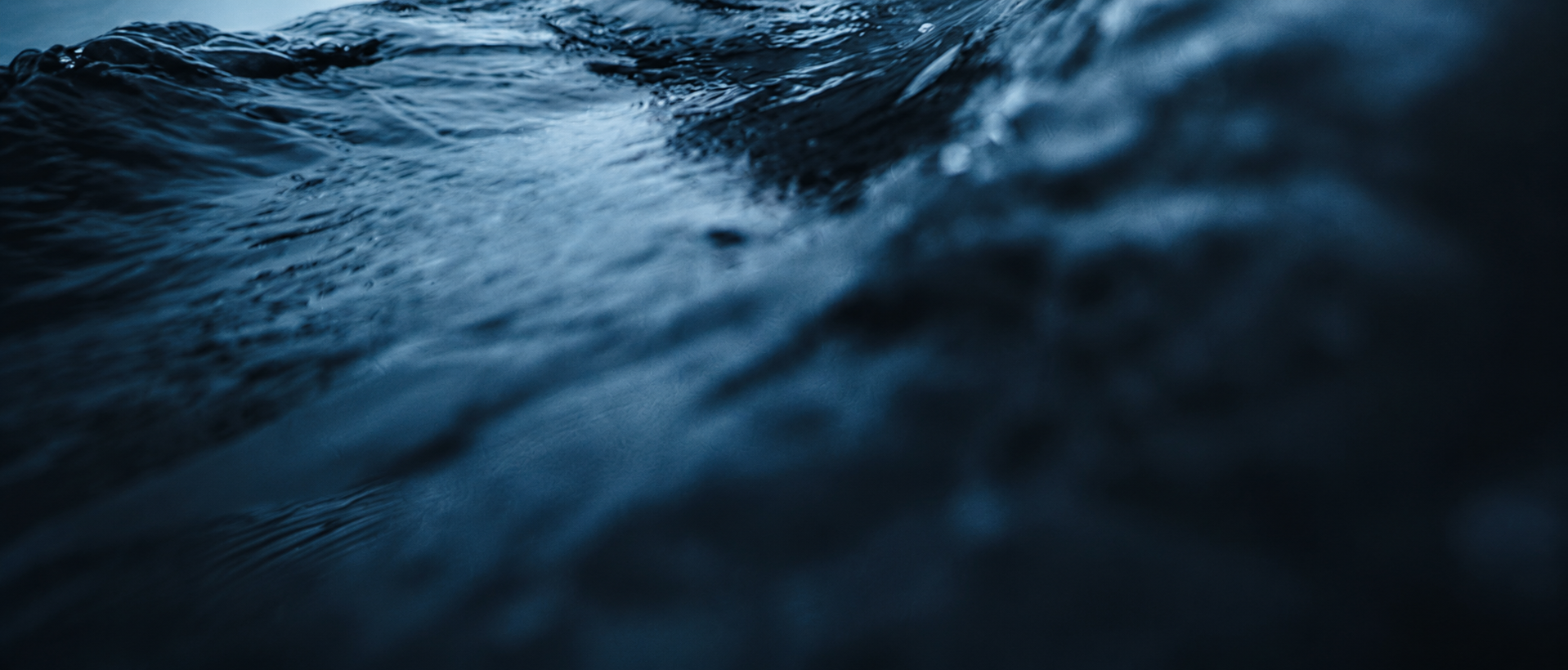 JOIN THE SEANOVA CURRENT