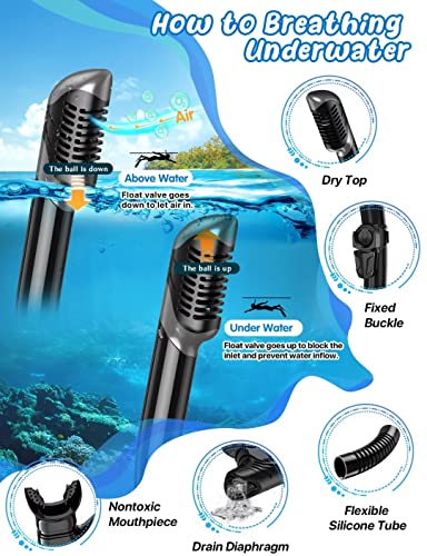 Adult Snorkel Set with Mask, Fins and Travel Bag