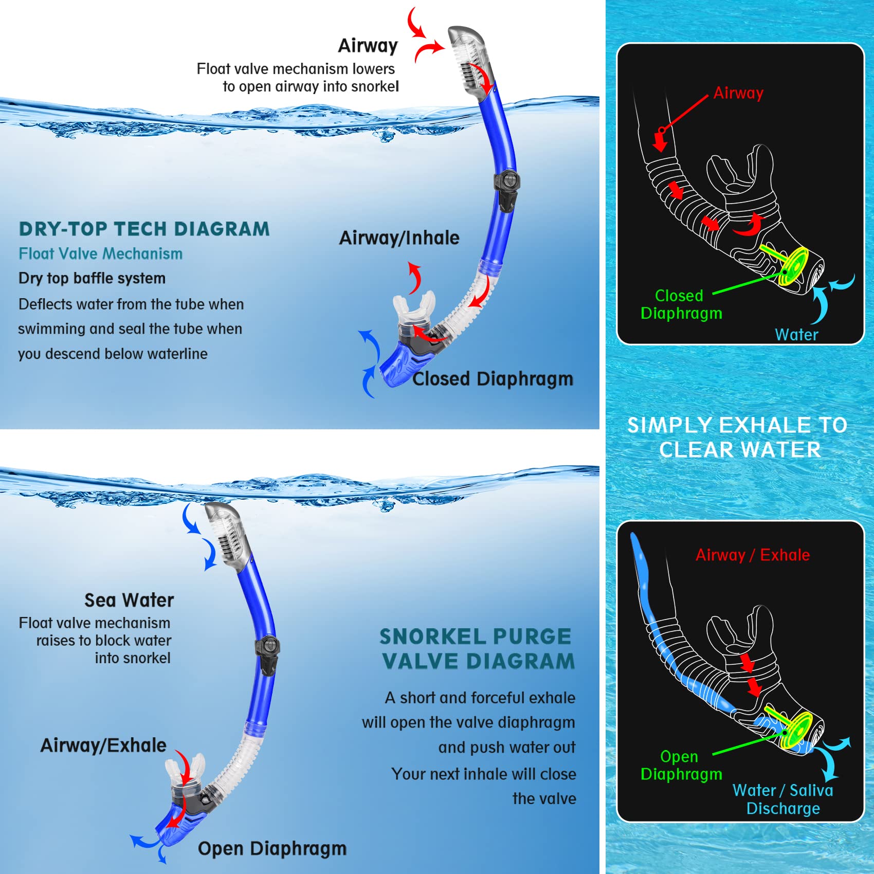 Adult Snorkel Set with Mask, Fins and Travel Bag